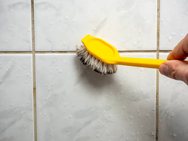 Mold Removal Process in Moody, TX