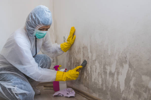 Water Damage Restoration in Moody, TX