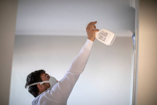 Best Certified Mold Removal  in Moody, TX