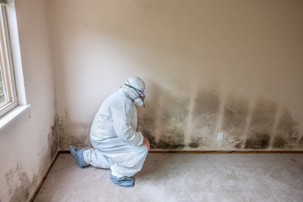 Best Mold Testing  in Moody, TX