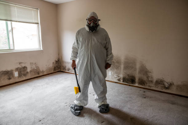 Best Mold Remediation  in Moody, TX